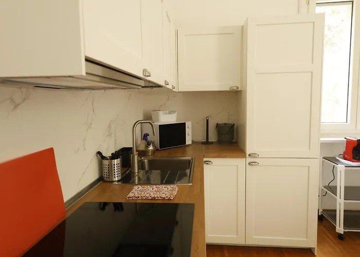 Apartamento Delizioso Bilocale Vicino San Pietro Roma